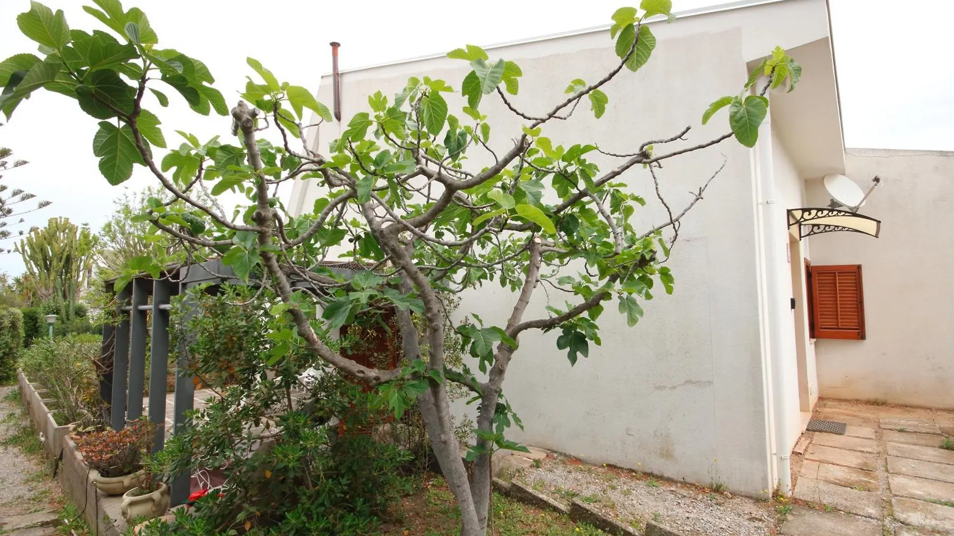 Casa Sciusca Villa Cefalu Holiday home